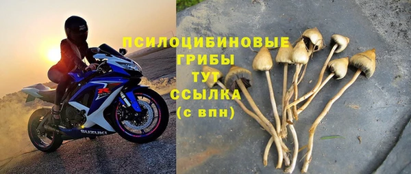 тгк Новодвинск