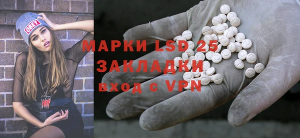 тгк Новодвинск